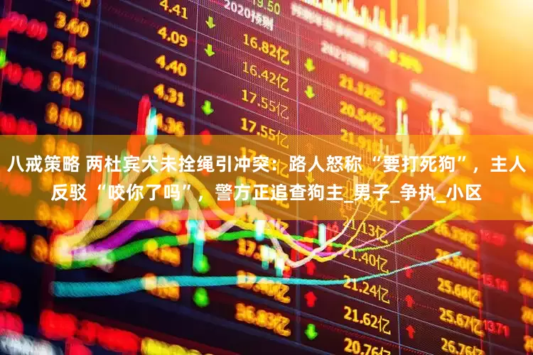 八戒策略 两杜宾犬未拴绳引冲突：路人怒称 “要打死狗”，主人反驳 “咬你了吗”，警方正追查狗主_男子_争执_小区